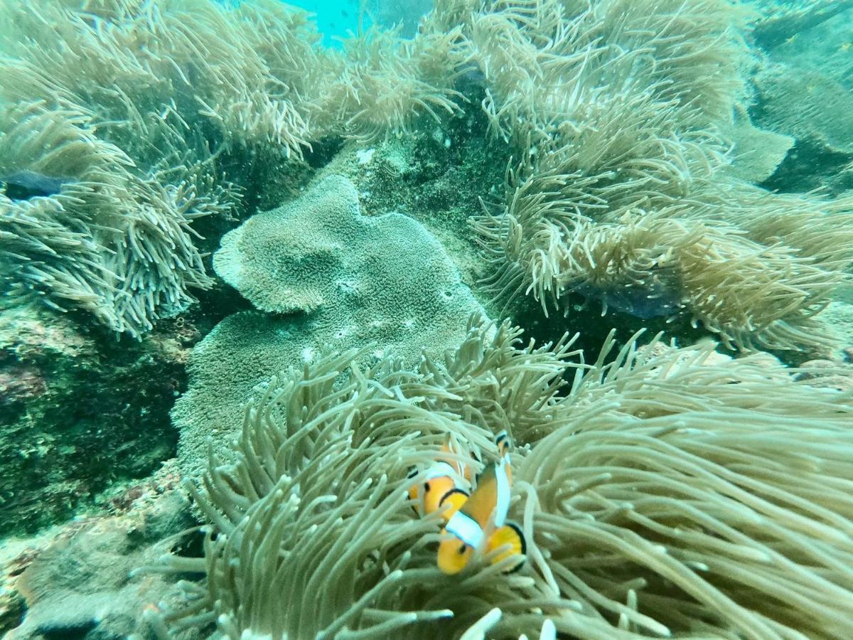 Mook Montra Resort Sea Front ムック島 エクステリア 写真
